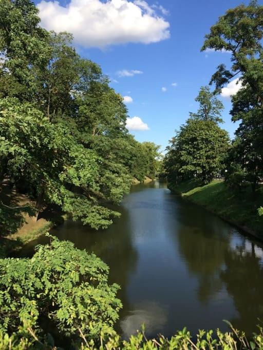 4 Pokoje - 86 M2 - 300 M Od Rynku Wrocław Zewnętrze zdjęcie