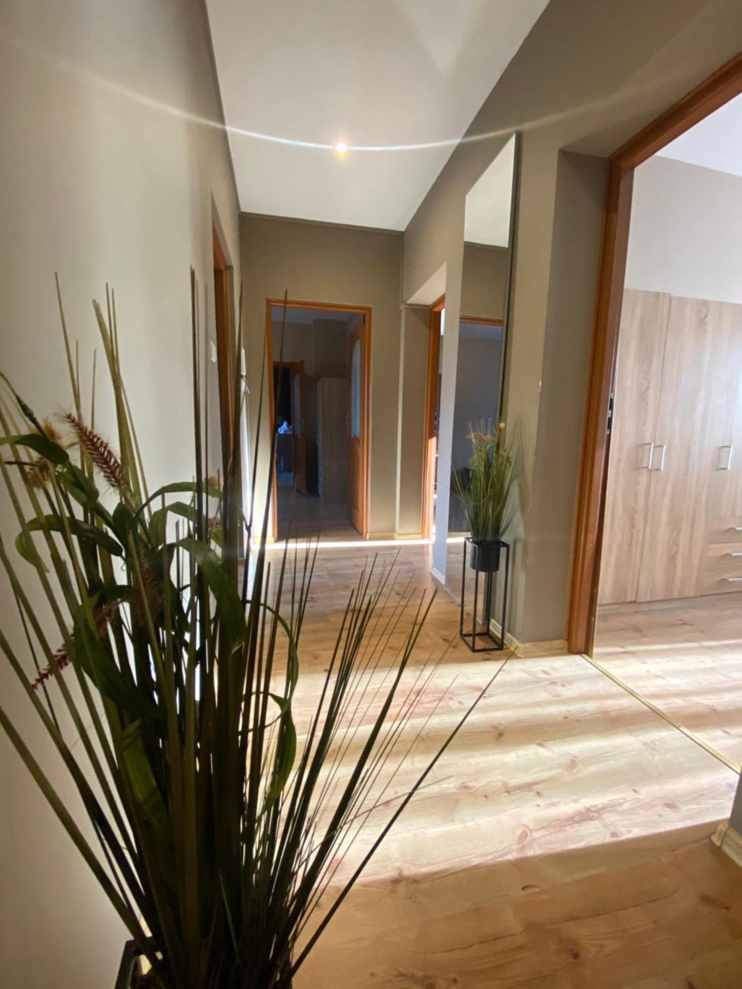 4 Pokoje - 86 M2 - 300 M Od Rynku Wrocław Zewnętrze zdjęcie